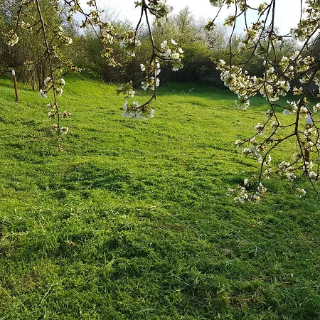 Holiday Home Arbanasi Hébergement de vacances Arbanasi