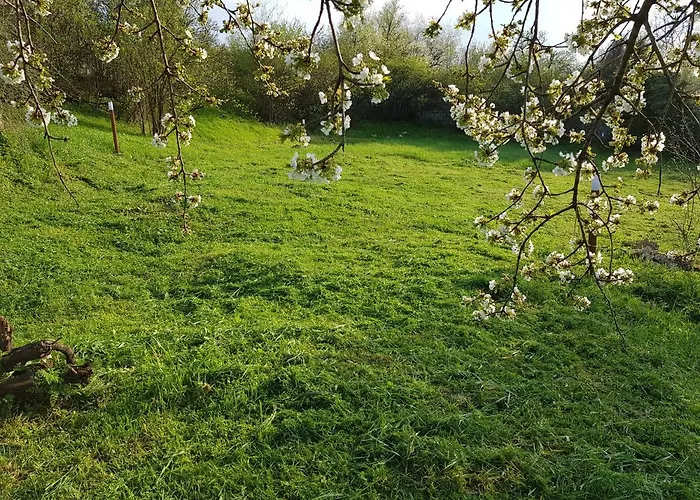 Holiday Home Arbanasi 別荘 アルバナシ